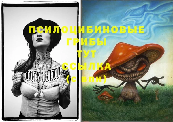 синтетический гашиш Коряжма