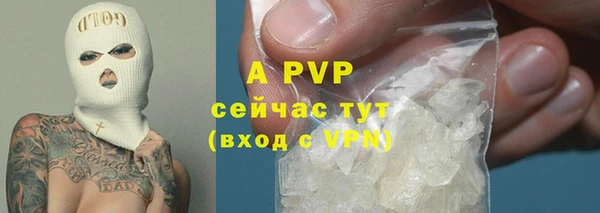 2c-b Корсаков