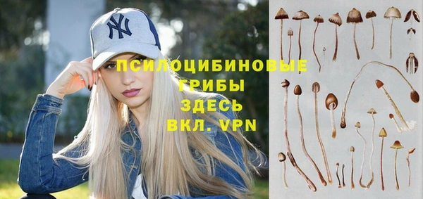 молекула духа Костерёво