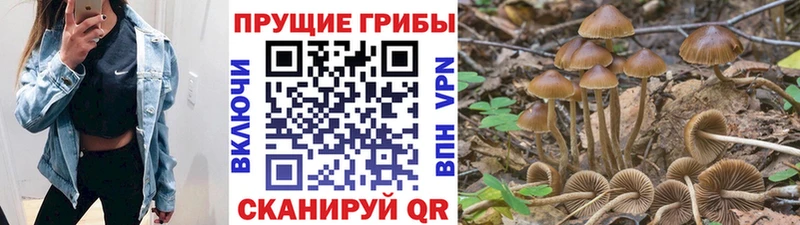 Псилоцибиновые грибы ЛСД Серпухов
