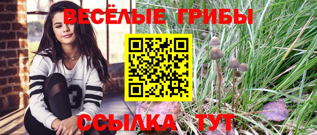 Галлюциногенные грибы ЛСД  Вход с VPN  Серпухов 