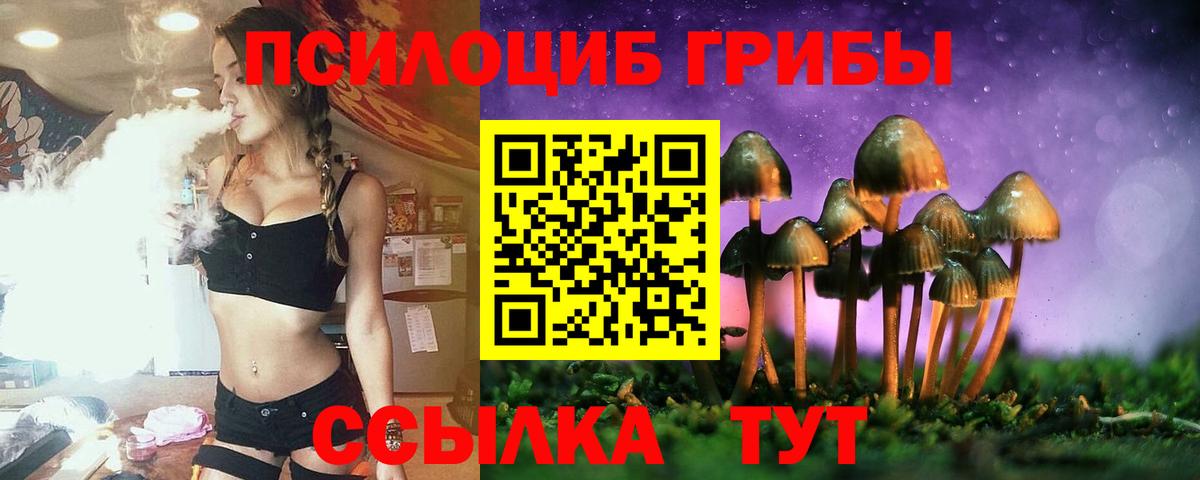 Псилоцибиновые грибы Psilocybe Серпухов